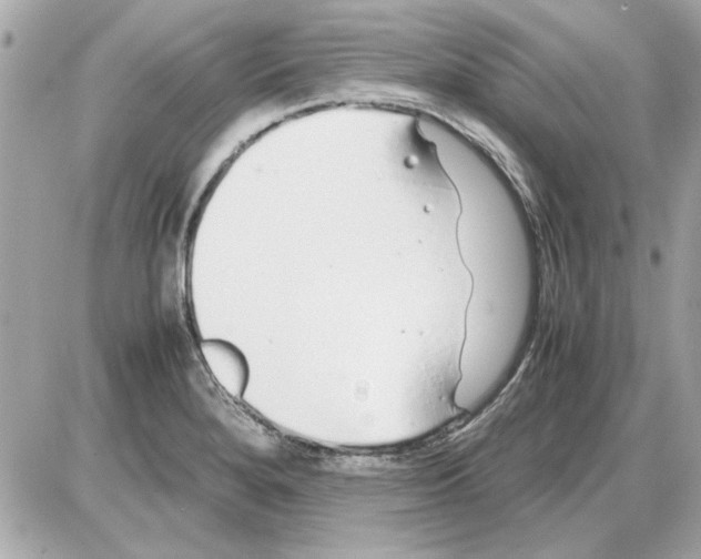 X0000085311280200704092314