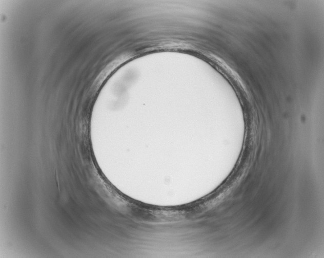 X0000085311281200704092314