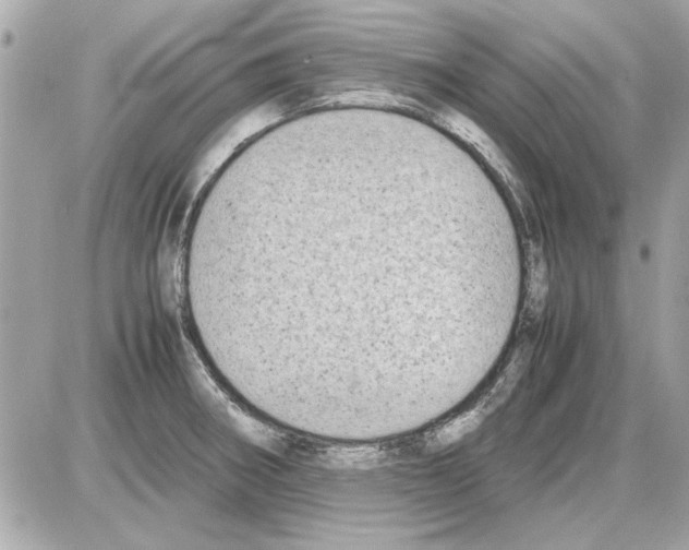 X0000085311282200704092314