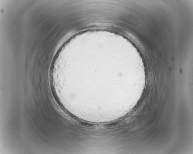 X0000085311283200704092314