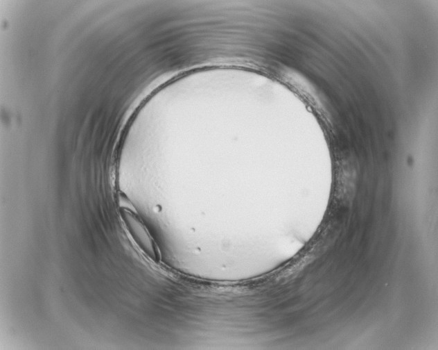 X0000085311284200704092314