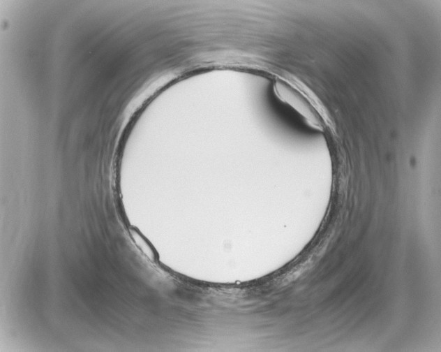 X0000085311285200704092314