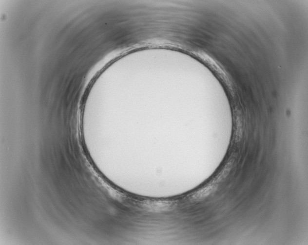 X0000085311286200704092314