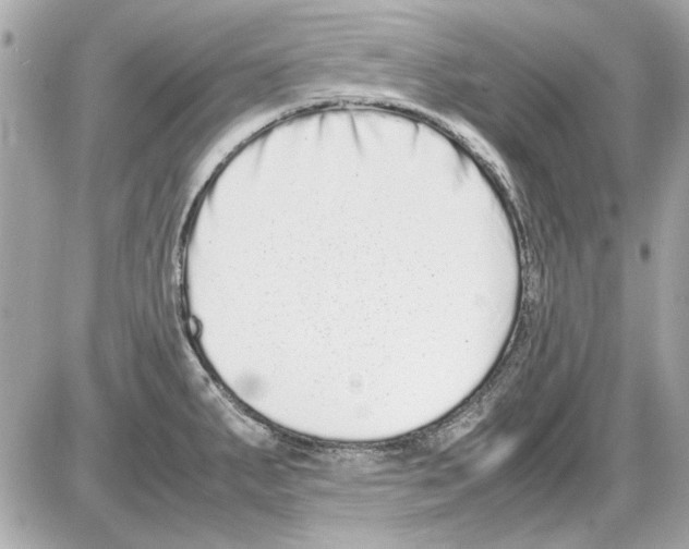 X0000085311287200704092314