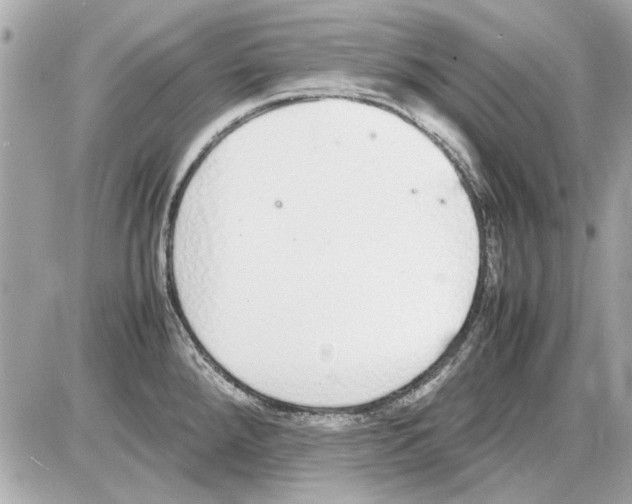 X0000085311288200704092314