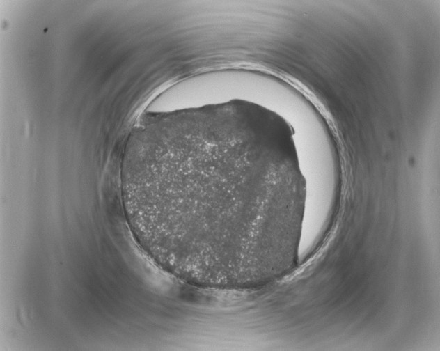 X0000085311289200704092314