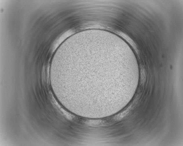 X0000085311290200704092314