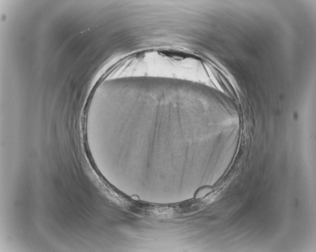 X0000085311291200704092313