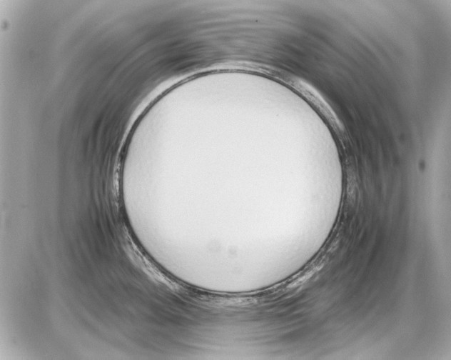 X0000085311292200704092313