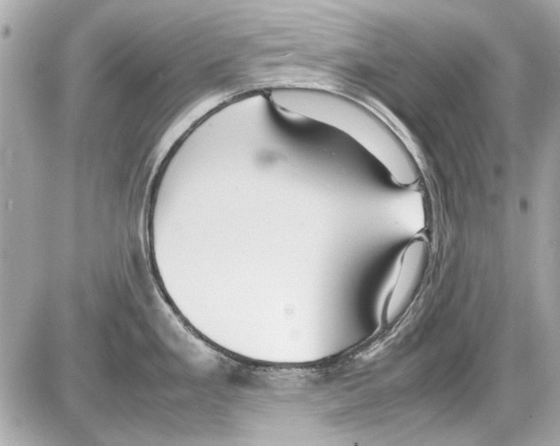 X0000085311293200704092313