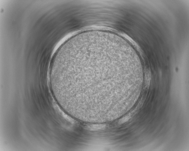 X0000085311294200704092313