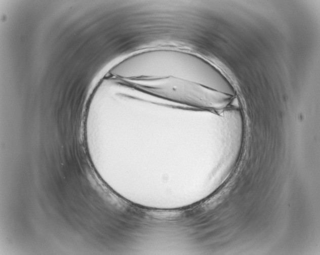 X0000085311296200704092313