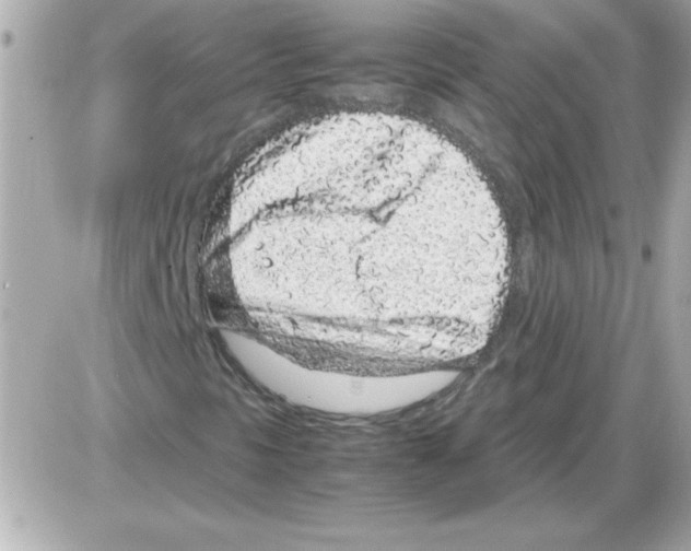 X0000085311297200704092313