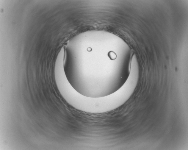 X0000085311298200704092313