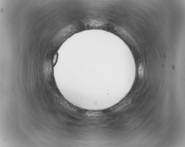 X0000085311299200704092313