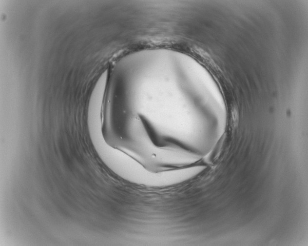 X0000085311300200704092313