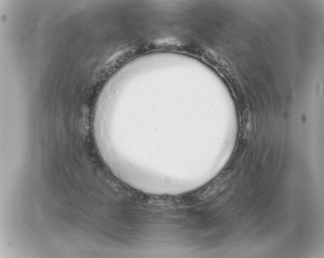 X0000085311301200704092313