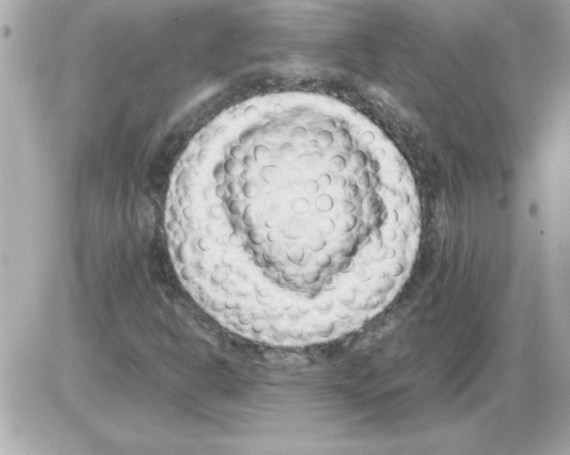 X0000085311302200704092313