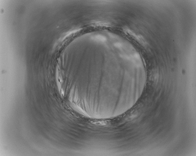 X0000085311303200704092313