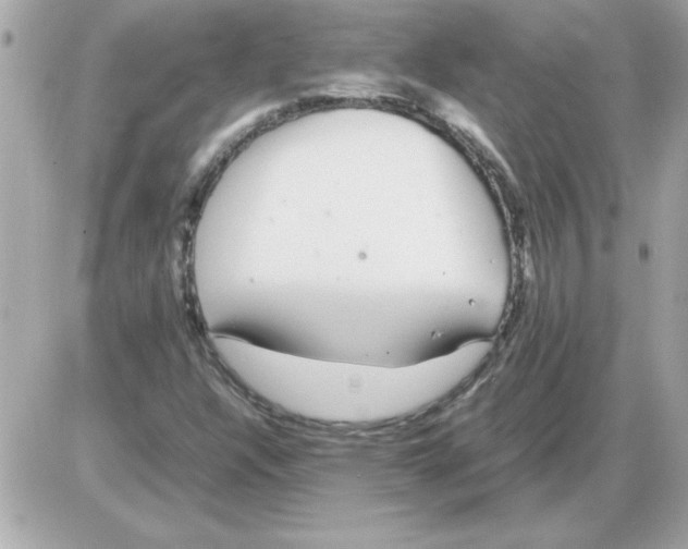 X0000085311304200704092313