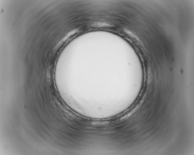 X0000085311305200704092313