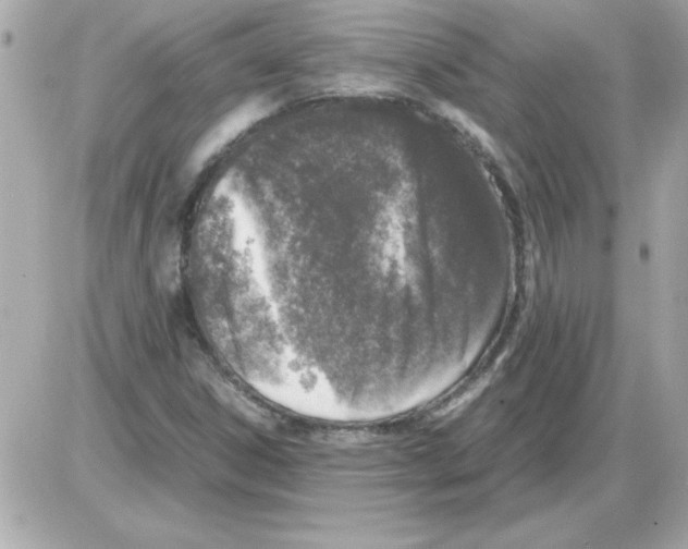 X0000085311306200704092313