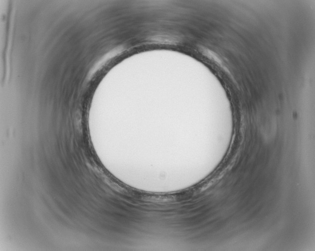 X0000085311307200704092313