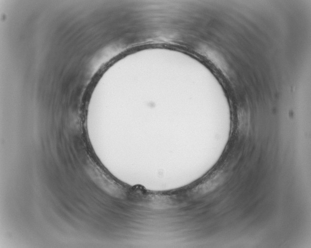 X0000085311308200704092313