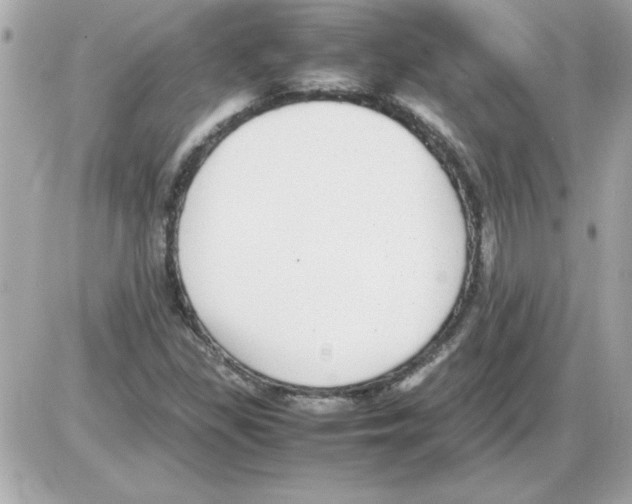 X0000085311309200704092313