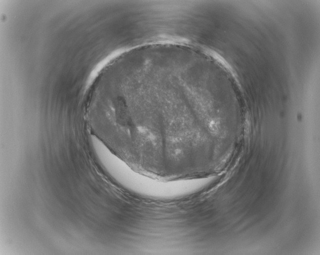 X0000085311310200704092313