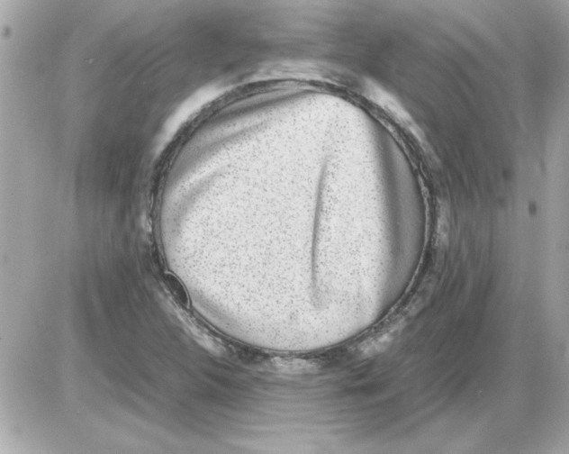 X0000085311312200704092313