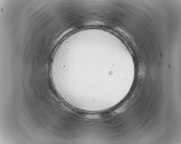 X0000085311313200704092313