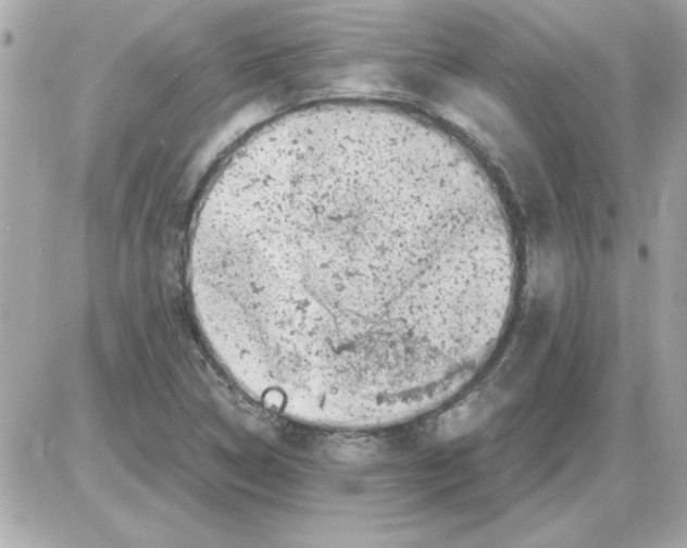 X0000085311314200704092313