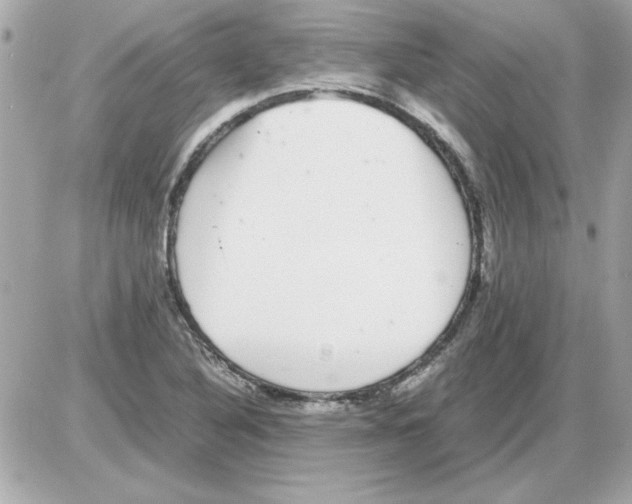 X0000085311316200704092313