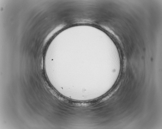 X0000085311317200704092313