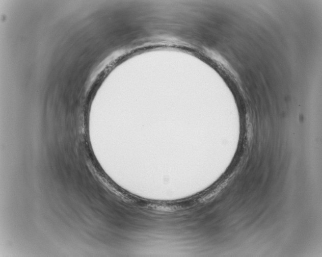 X0000085311318200704092313