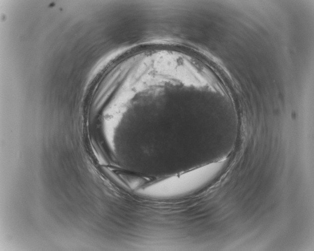 X0000085311319200704092313