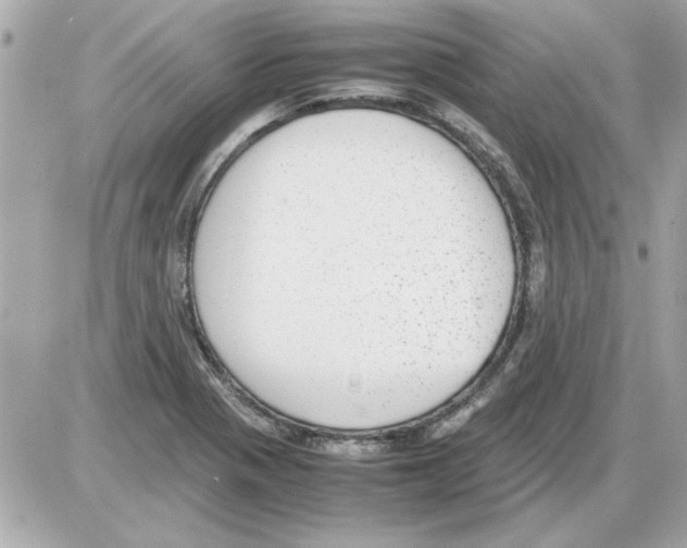 X0000085311321200704092313