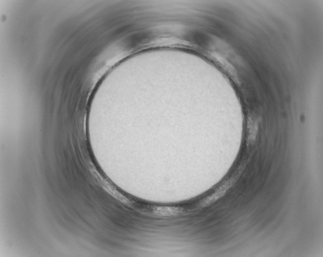 X0000085311322200704092313