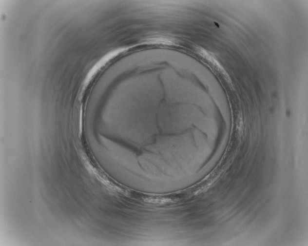 X0000085311323200704092313