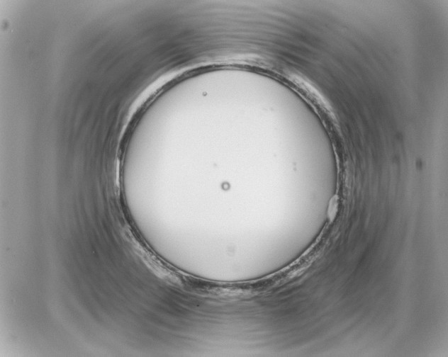 X0000085311324200704092313