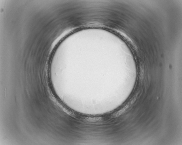 X0000085311325200704092313