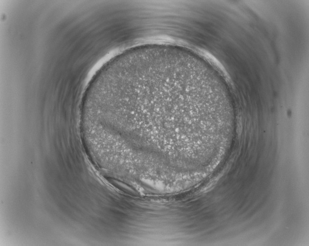 X0000085311326200704092313