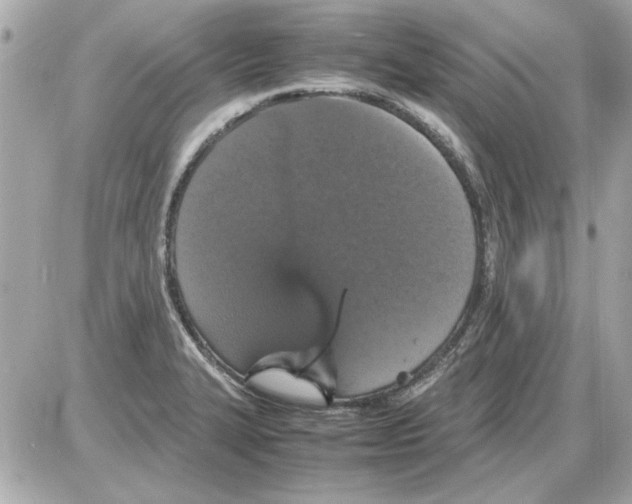 X0000085311327200704092313