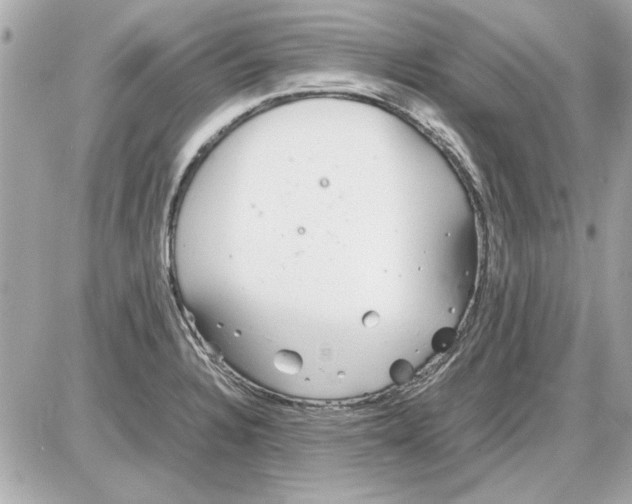 X0000085311328200704092313