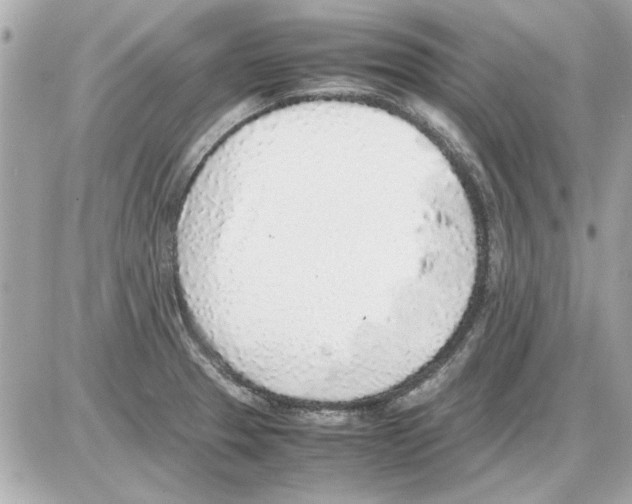 X0000085311329200704092313