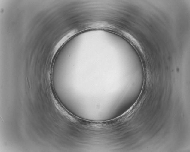 X0000085311330200704092313