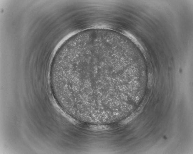 X0000085311331200704092313