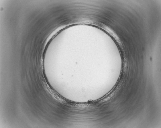 X0000085311332200704092313