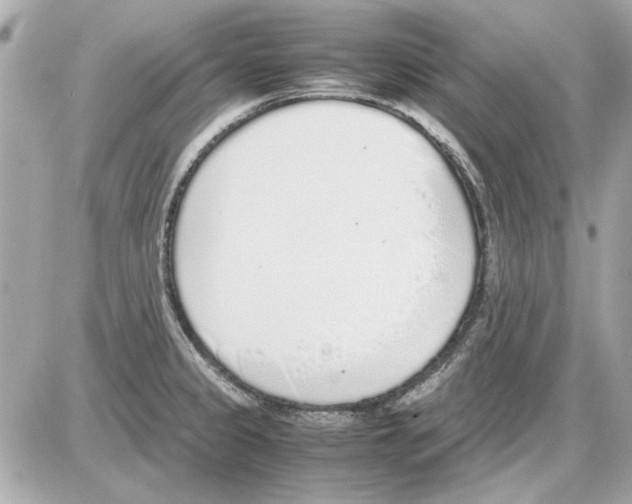 X0000085311333200704092313